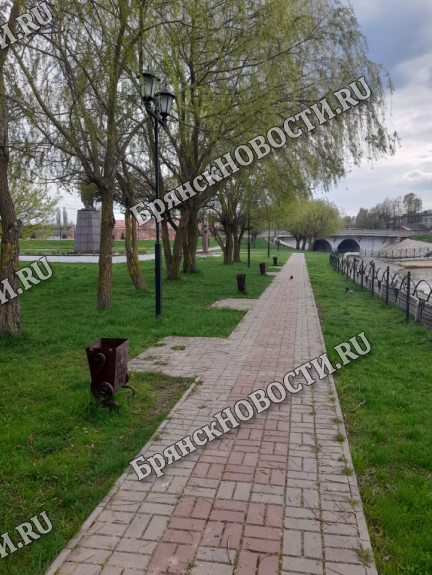 Проблему со сломанными скамьями в Новозыбкове решили кардинально