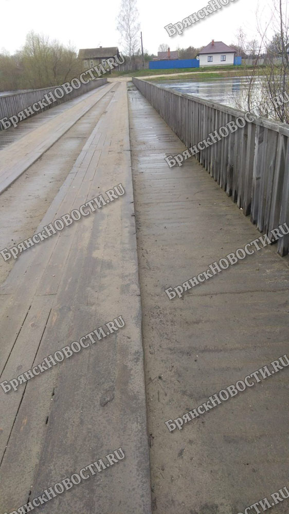Деревянный мост в селе Перевоз под Новозыбковом набух от воды, предстоит его очистка