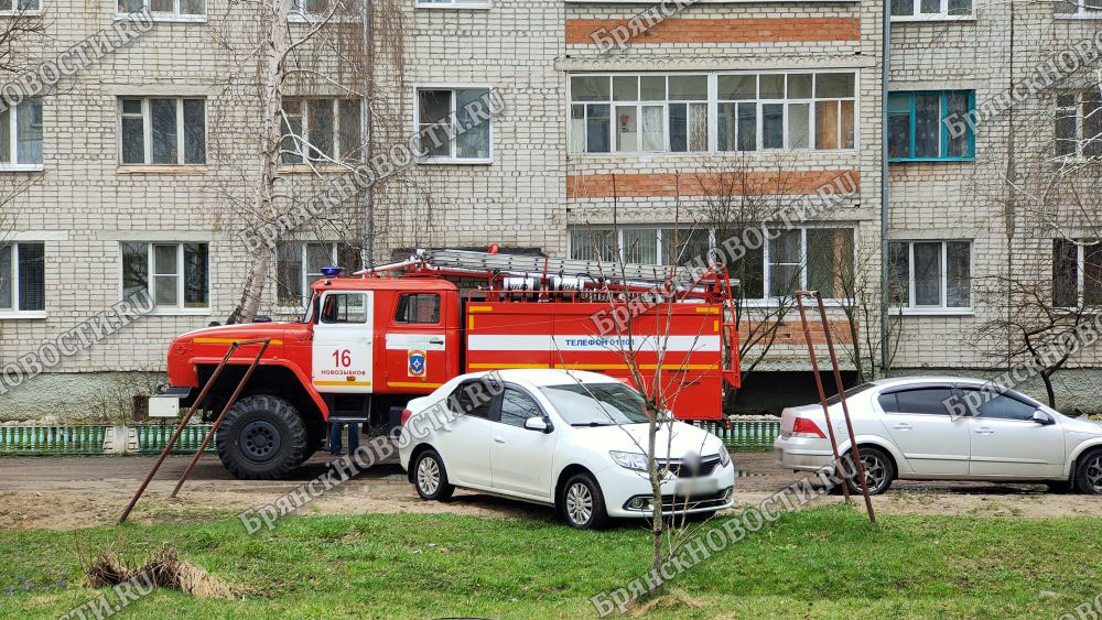 За год в Брянской области пожарными спасены 65 человек