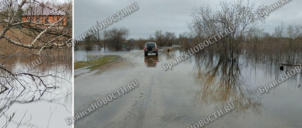 В селе Перевоз Новозыбковского округа вода дошла до моста. Легковушки не пойдут