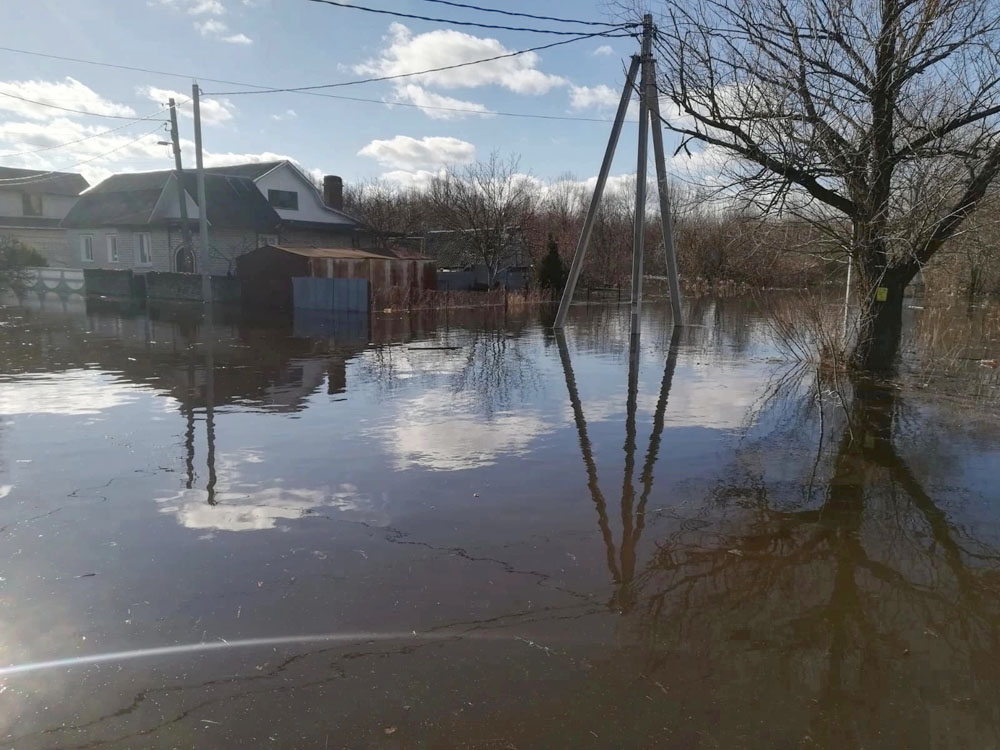 В Брянске уровень рек Болва и Десна продолжает снижаться