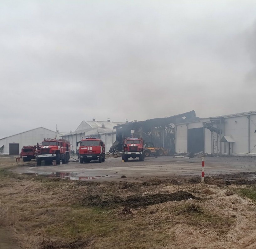 При пожаре на птицефабрике в Уручье Брянской области погиб человек