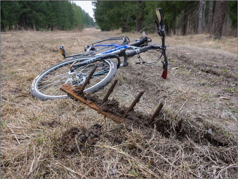 На лесной тропе около Дятьково велосипедист наткнулся на вкопанные шипы