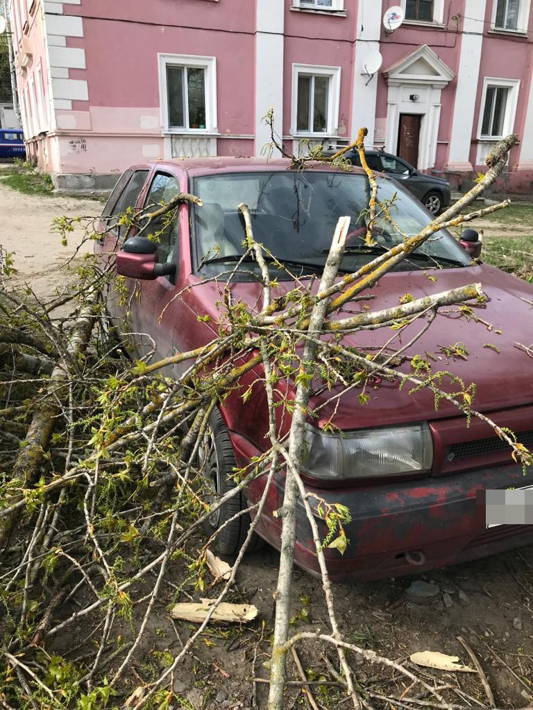 Во дворе Брянска старые тополя рухнули на автомобили • БрянскНОВОСТИ.RU