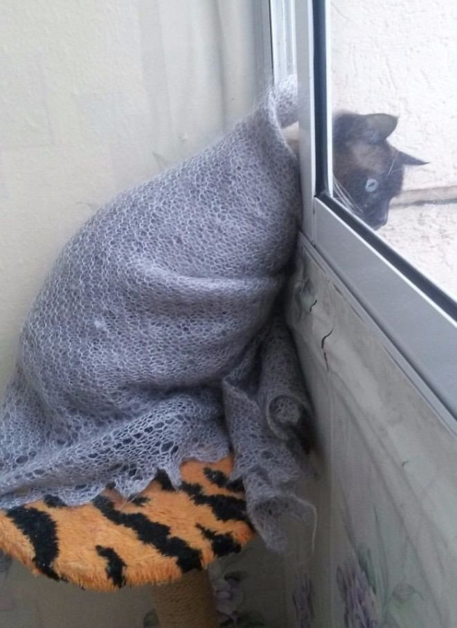 Заморозки на Первомай в Брянской области подняли волну возмущений на холод в квартирах