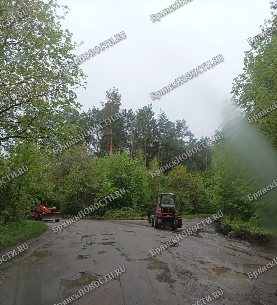 В Новозыбкове начали делать дорогу в Карховку