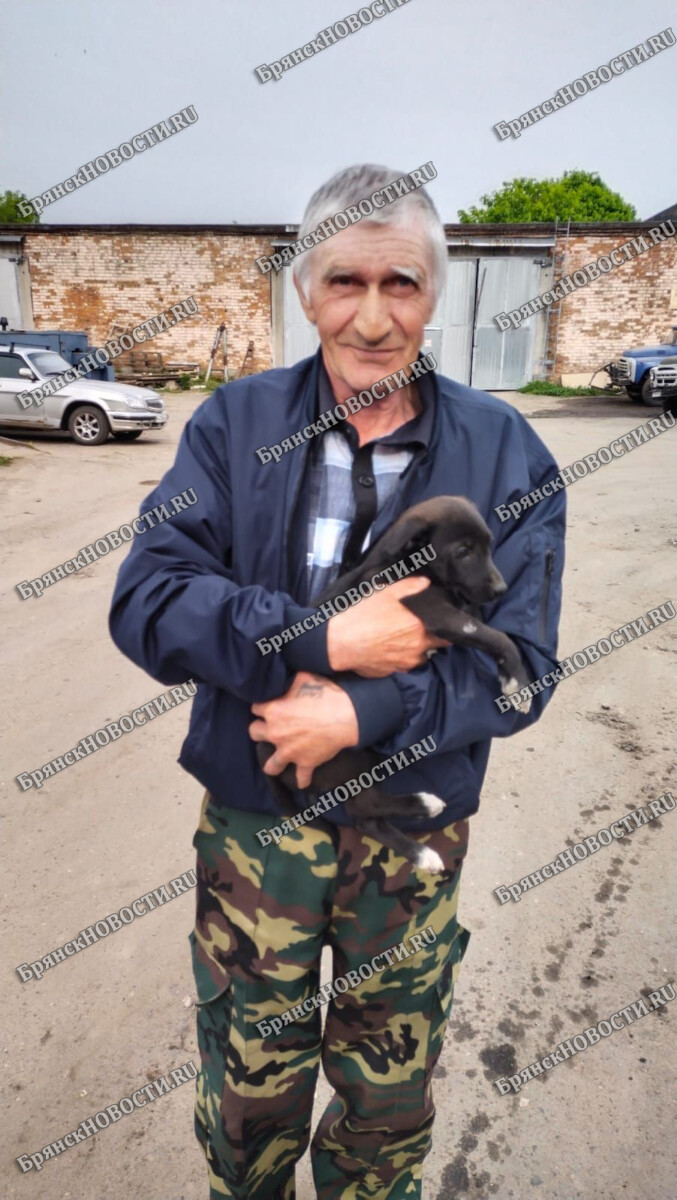 Сегодня в Новозыбкове малышку-чернышку передали в добрые руки жителя Климовского района