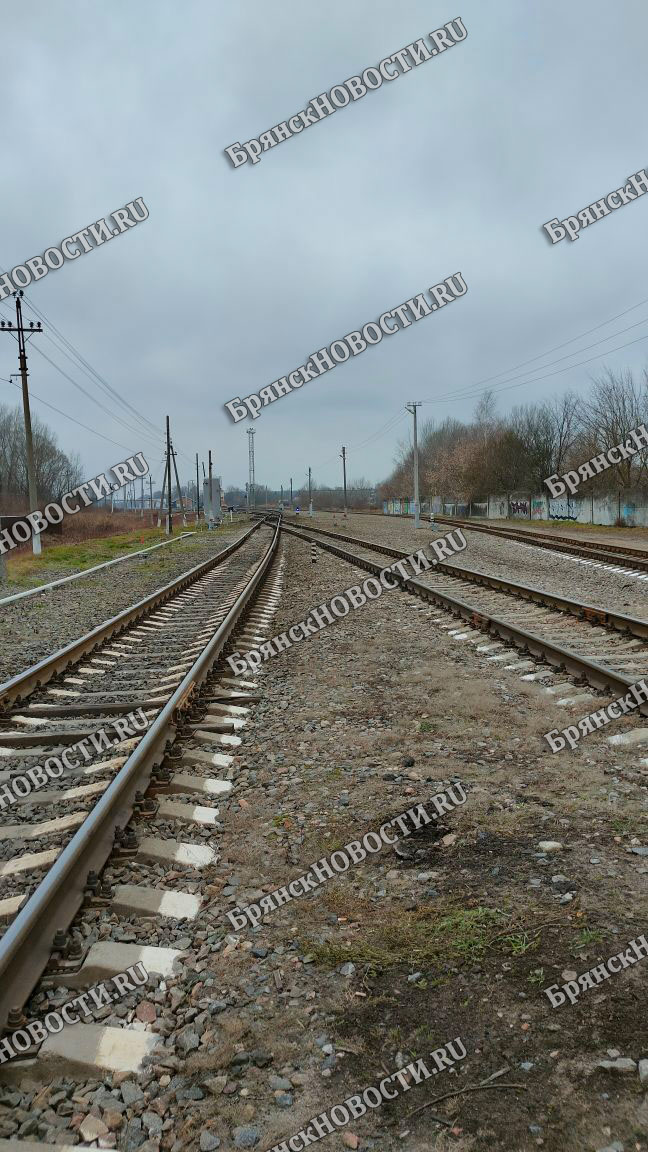 Расписание пригородных поездов в Брянской области изменится на время ремонта пути