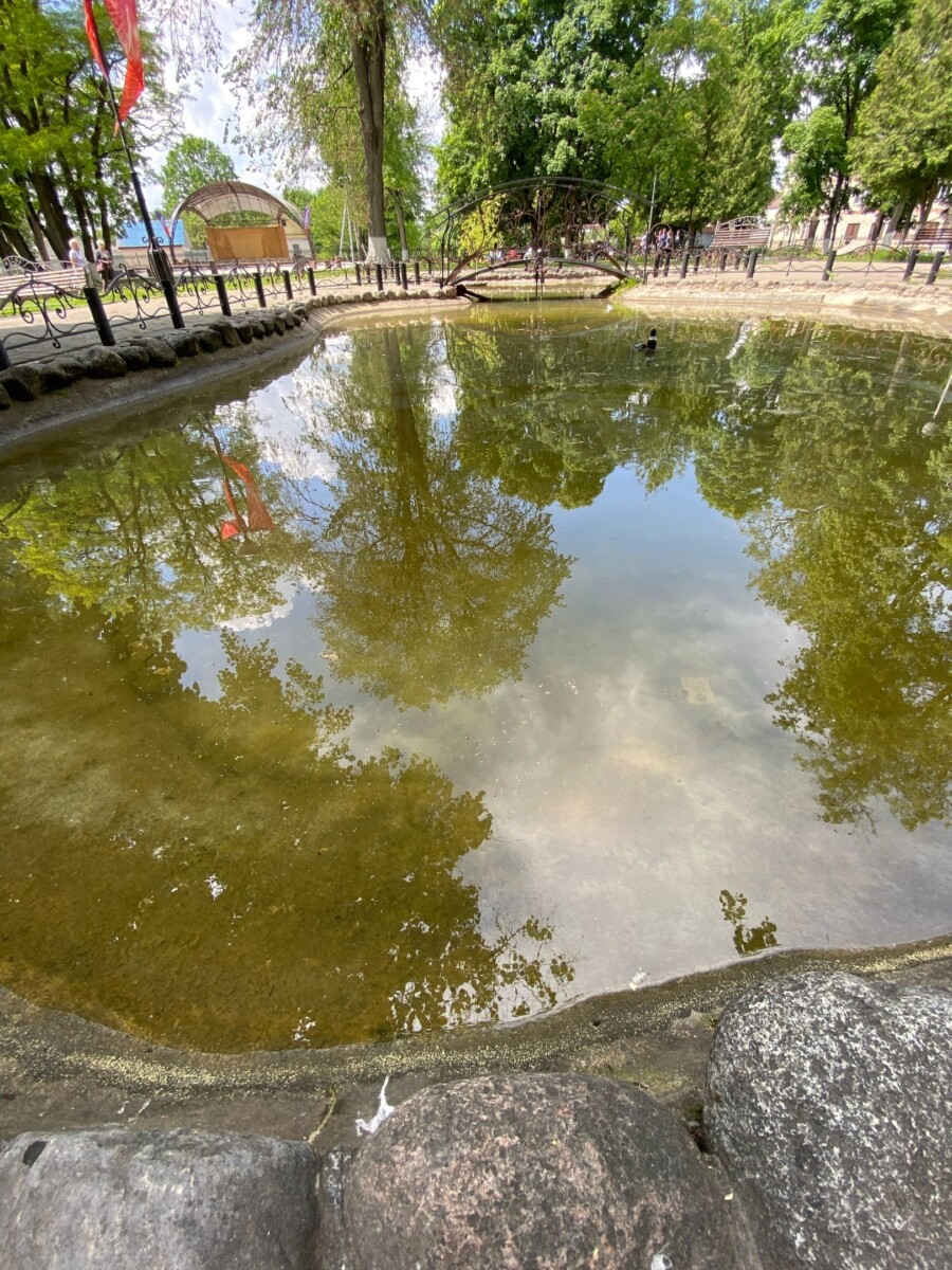 Фонтан, конечно, не «фонтан»: жители Стародуба просят почистить мини-водоем
