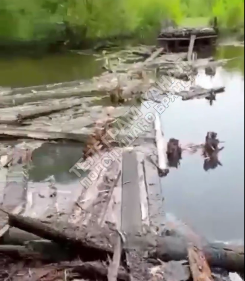 «Все… Пошел родимый. Вся речка в досках» – житель Погарского района снял на видео взрыв моста