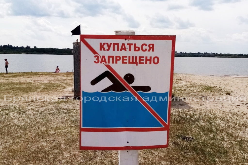 Четыре пляжа в Брянске закрыты для купания