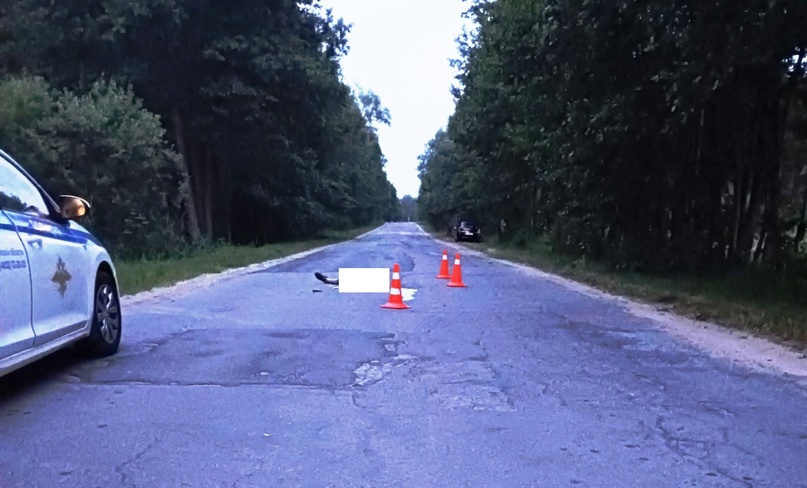 В Гордеевском районе ВАЗ насмерть сбил сидящего на дороге 29-летнего мужчину
