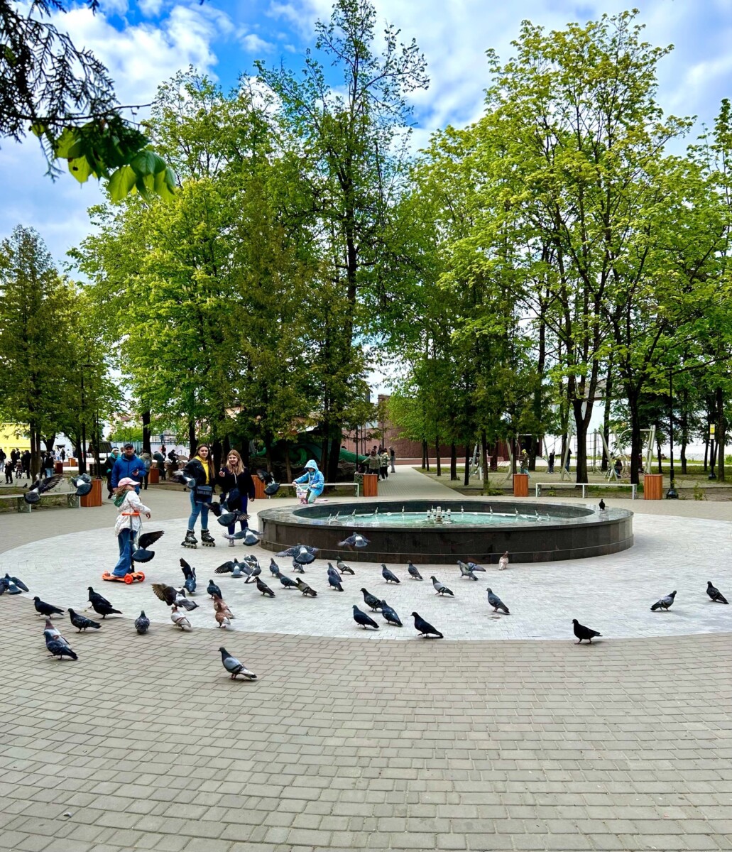 В парке «Юность» почистили превратившийся в болото фонтан