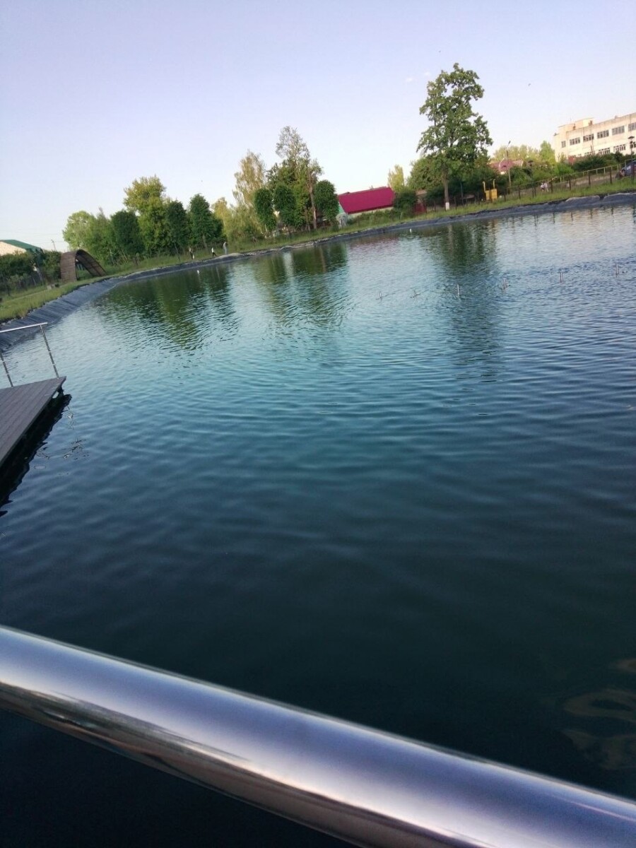 В парке имени Воровского в Клинцах очистили озеро от бутылок и мусора