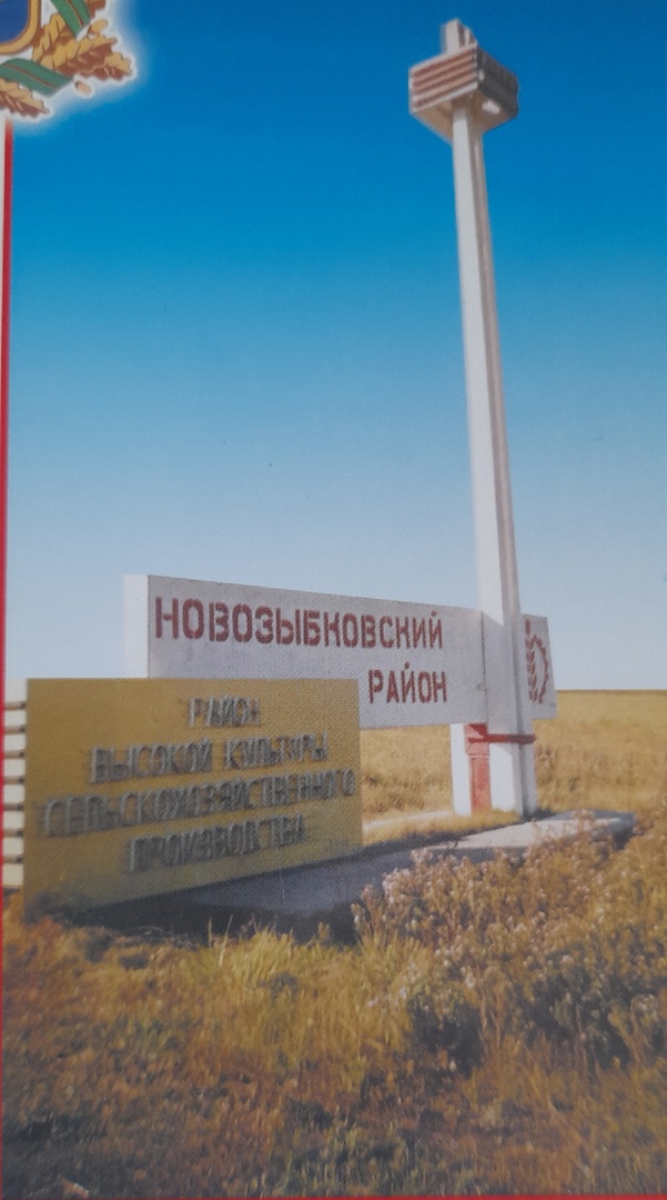 Власти Новозыбкова заявили о необходимости обновления въездного знака в округ