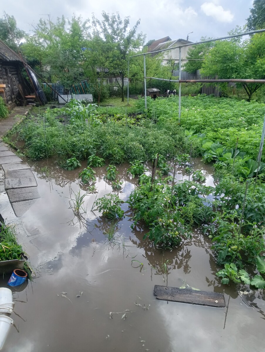 После проливного дождя в Клинцах затопило переулок Дальний