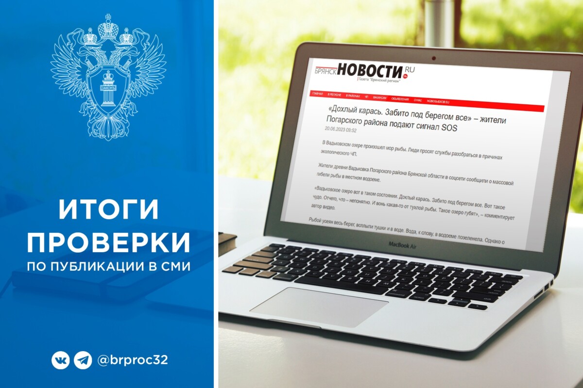 Брянская природоохранная прокуратура назвала причины мора рыбы в Вадьковском озере