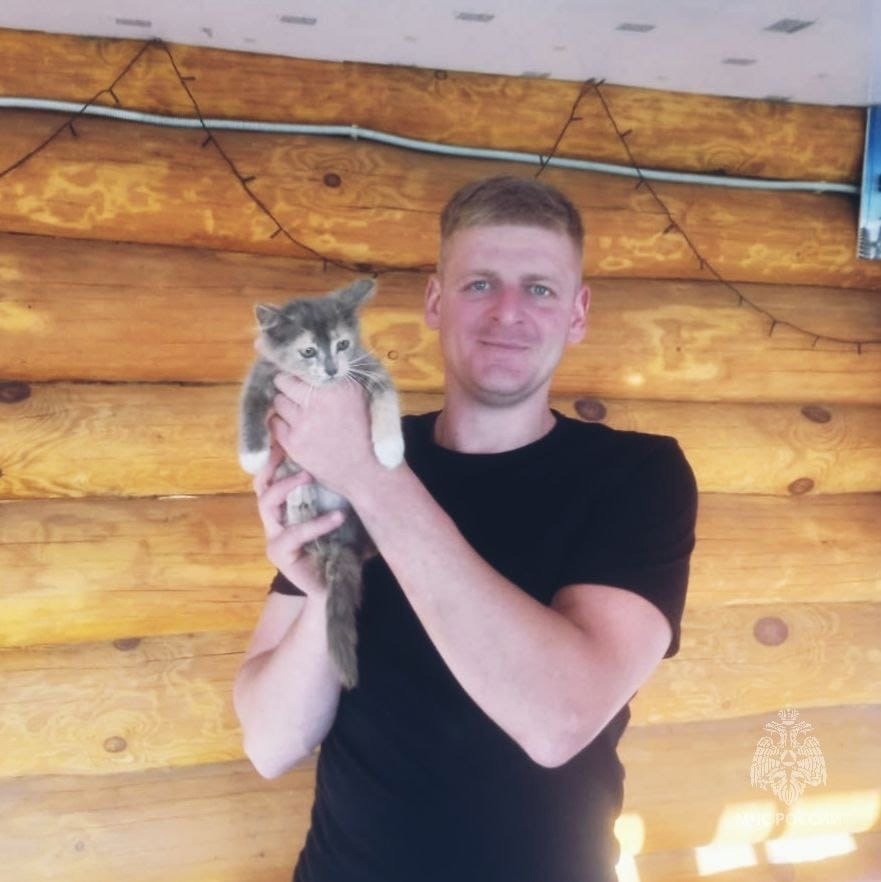 Кошечка Машка уже обживается в доме спасателя Брянского района Андрея Лобанова