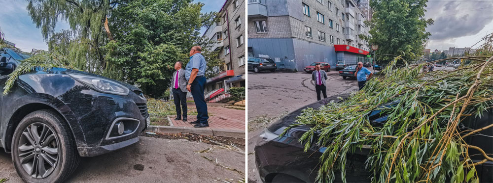 Дерево упало на автомобиль в Брянске