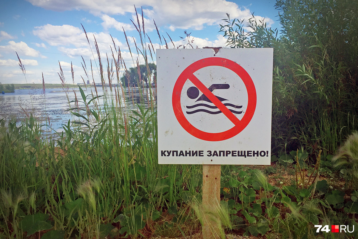 Вода и почва загрязнены на семи пляжах в Брянской области