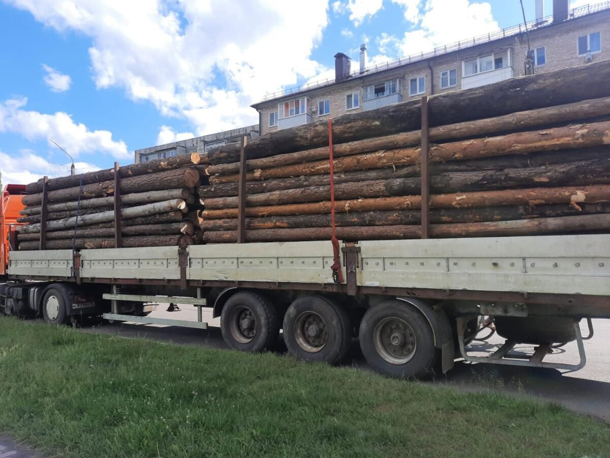 Контрабанду лесоматериалов через Брянскую область везли в Чехию 