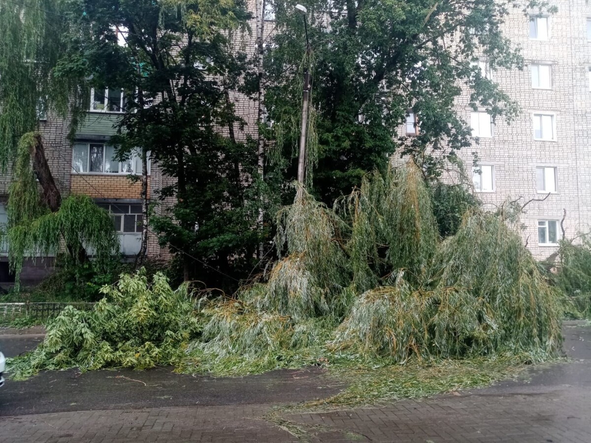 Брянск еще не просох, и вновь обещают ливни и грозы