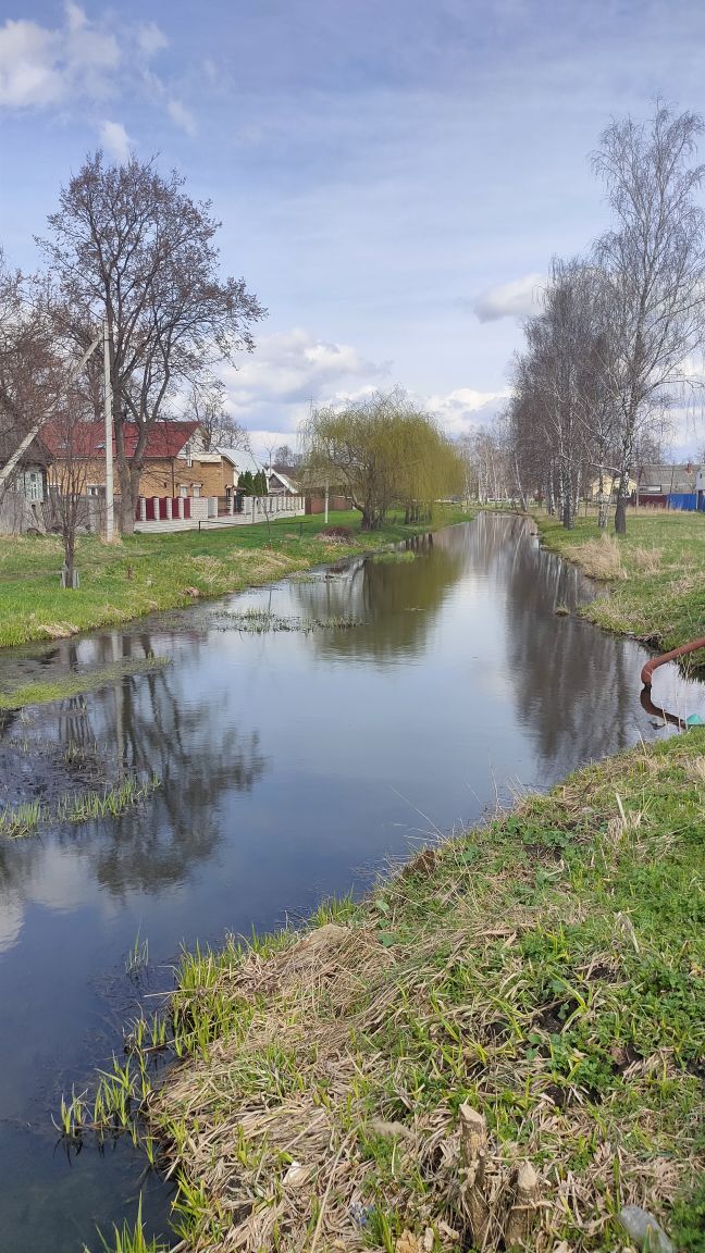 В летнем сезоне-2023 качество воды на пляжах в Новозыбкове и районе не вызвало нареканий Роспотребнадзора