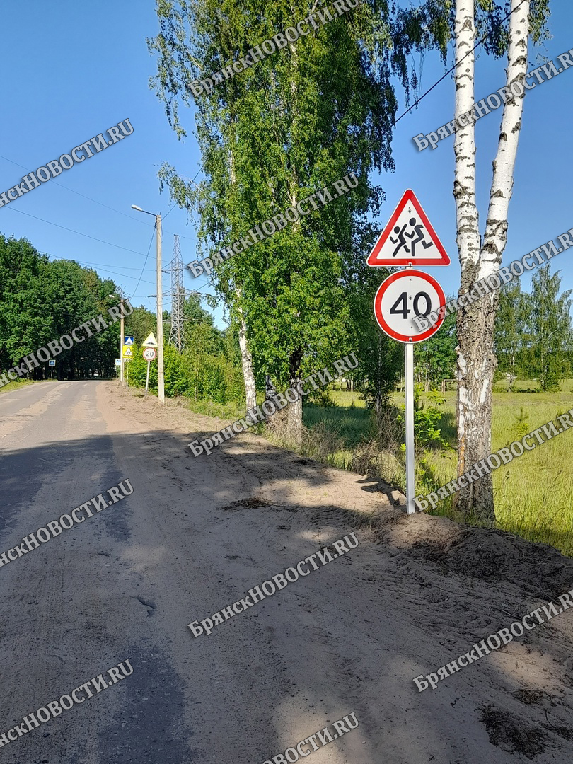 К середине лета в Брянской области обобщают данные по дорожному ремонту •  БрянскНОВОСТИ.RU