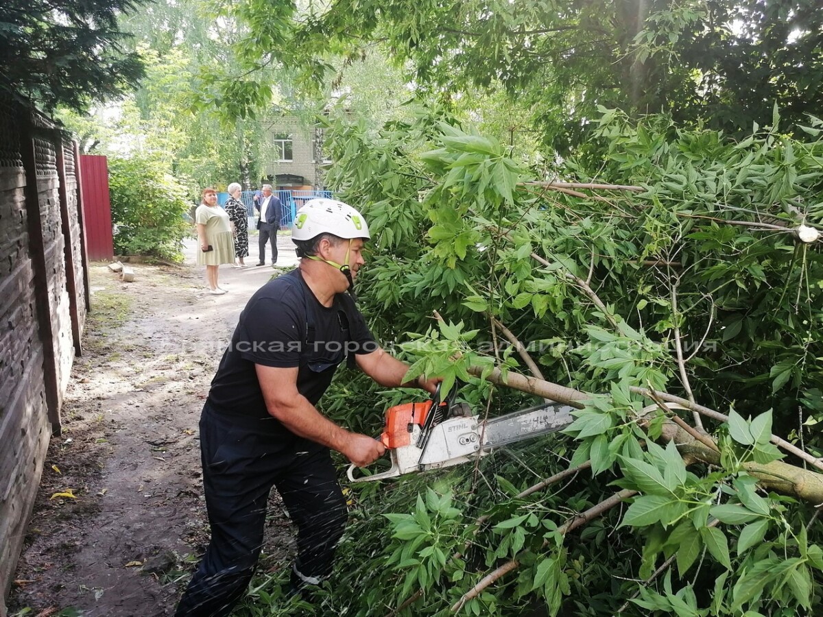 Рано утром возле детского сада «Солнечный» в Брянске рухнувшее дерево  перегородило дорогу • БрянскНОВОСТИ.RU