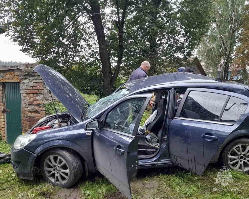 В аварии в Почепском районе Брянской области пострадали люди