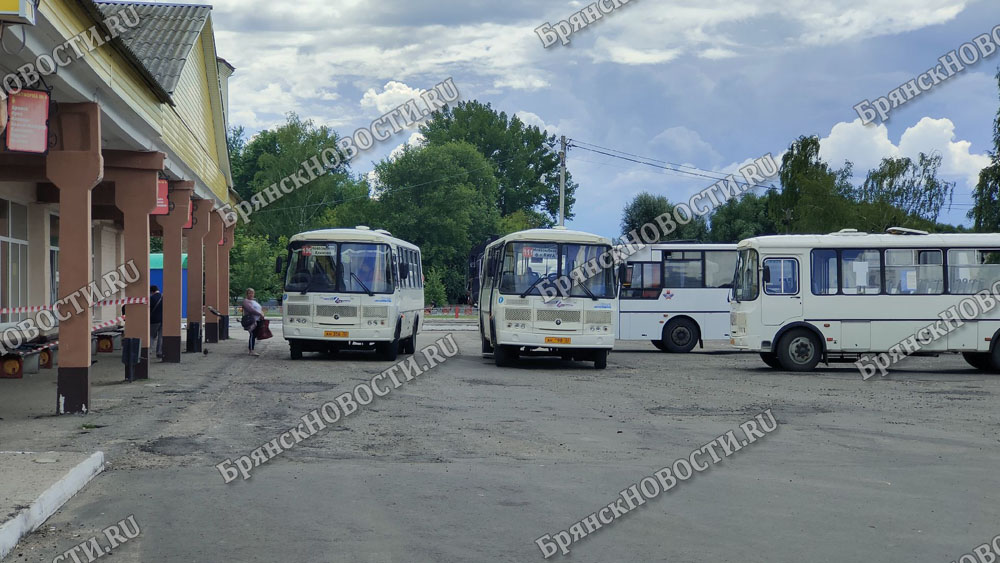 Любимый автобусный маршрут школьников ввели в график в Новозыбкове