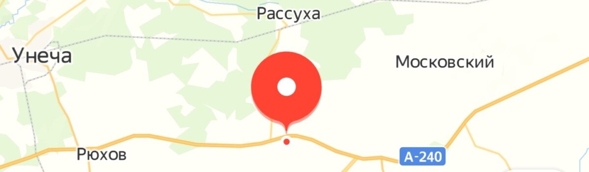 Водитель грузовика слетел с дороги и погиб в Брянской области
