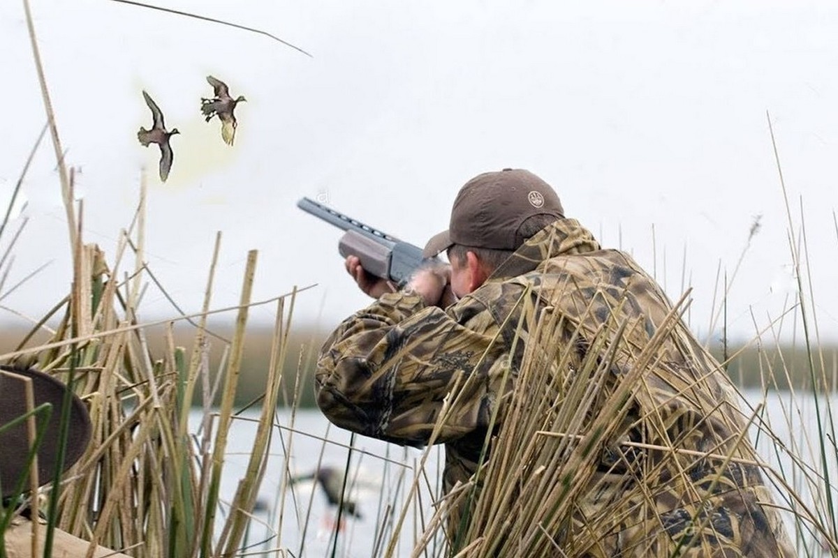 Открытие охоты в оренбургской области 2024. Охота на водоплавающую дичь 2022. Охота на уток. Птица и охотник.