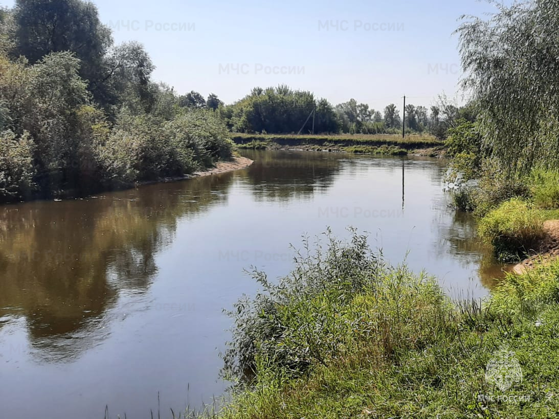 В Брянске из реки достали тело утонувшего