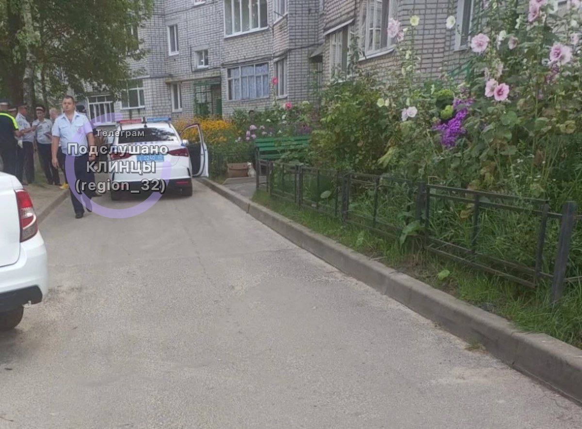 В Клинцах Брянской области девочка попала под автомобиль