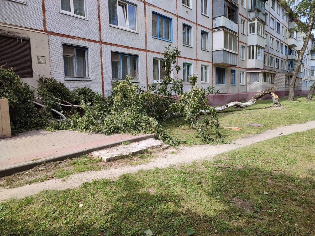 Юго-запад Брянской области непогода накрыла первым