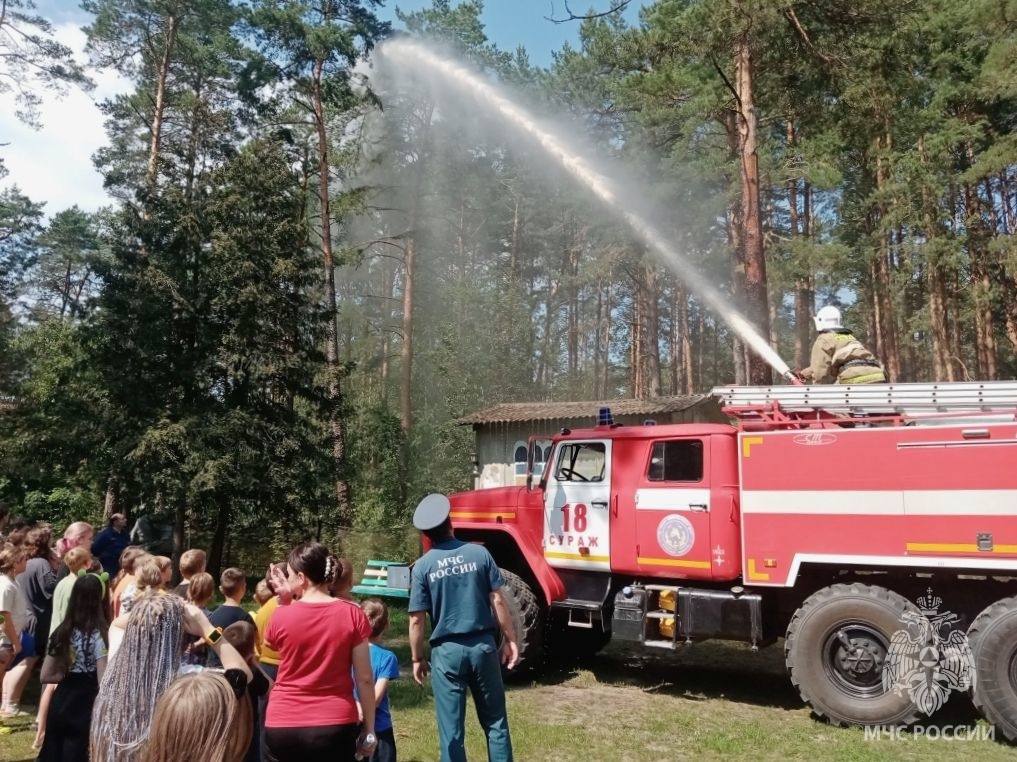 Брянское МЧС пустило струю выше сосен в «Новокемпе»