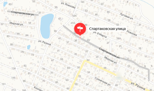 В Новозыбкове с пожаром хозяева смогли справиться сами