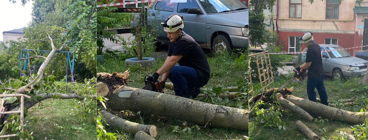 Упавший великан в Брянске распилен