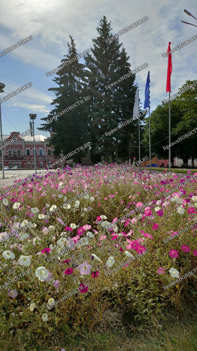 Программа Дня города Новозыбкова • БрянскНОВОСТИ.RU