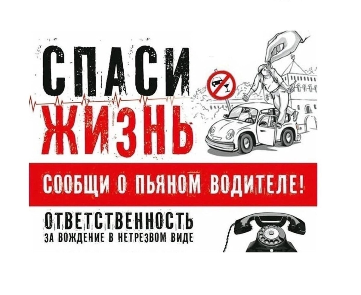 На юго-западе Брянской области усилят патрули на дорогах • БрянскНОВОСТИ.RU