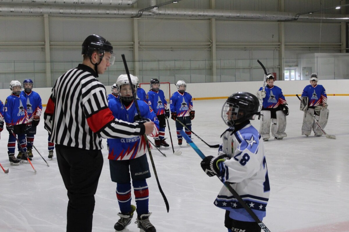 Первенство Брянской области по хоккею среди юношеских команд