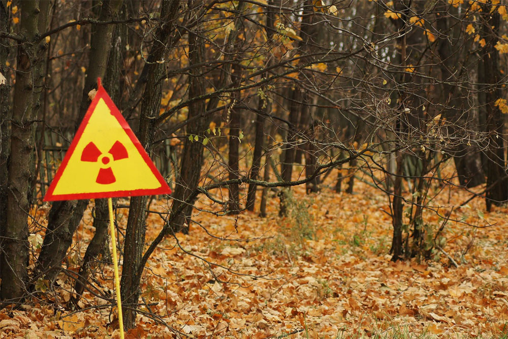 В Брянской области сохранены границы «чернобыльских» зон