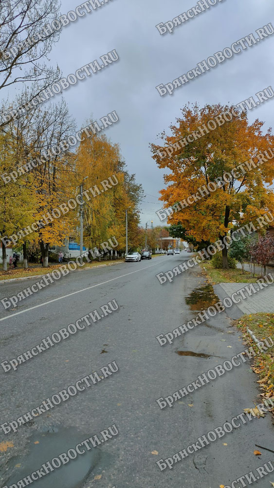 В Брянской области ночью и днем дожди