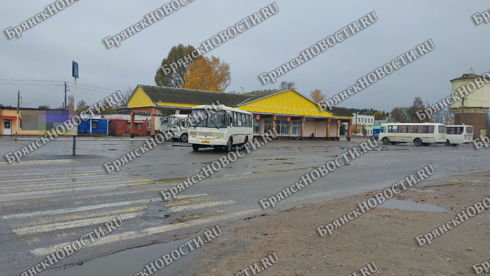 Автобус из Гомеля в Новозыбков не заезжает в Злынку