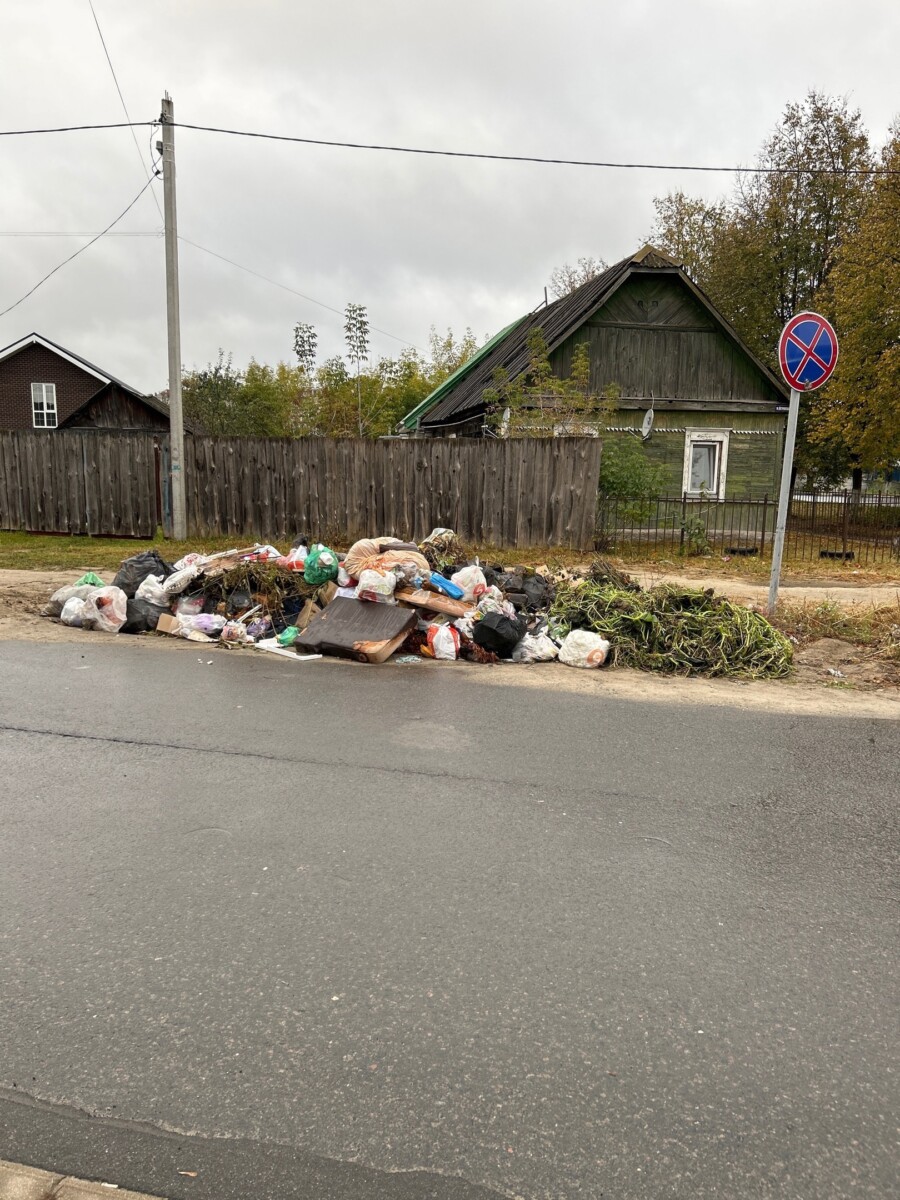 Фотография из столицы нашего региона города Брянска