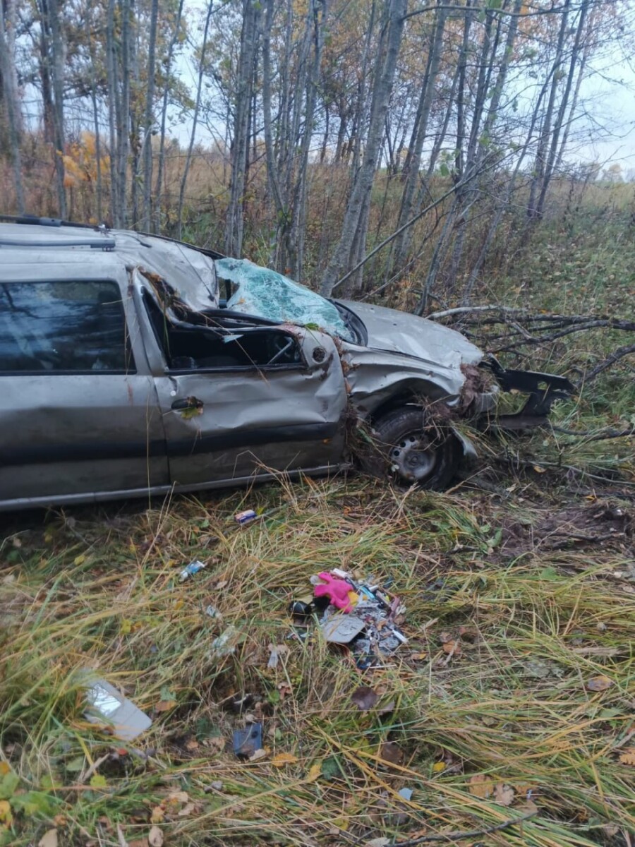 Водитель переломался сам и разбил автомобиль в аварии в Дятьковском районе  • БрянскНОВОСТИ.RU