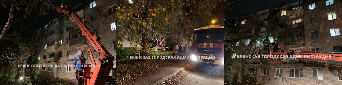 В Брянске на многоэтажку упал обломок дерева