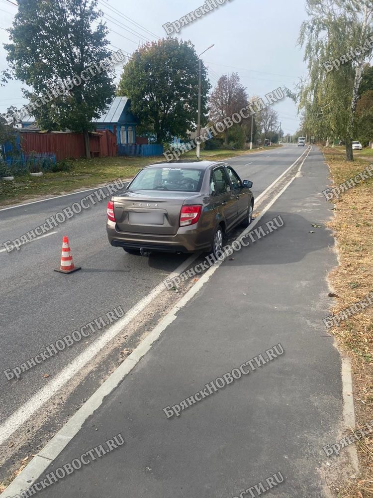 В селе под Новозыбковом водитель попал в ДТП, спасая собаку