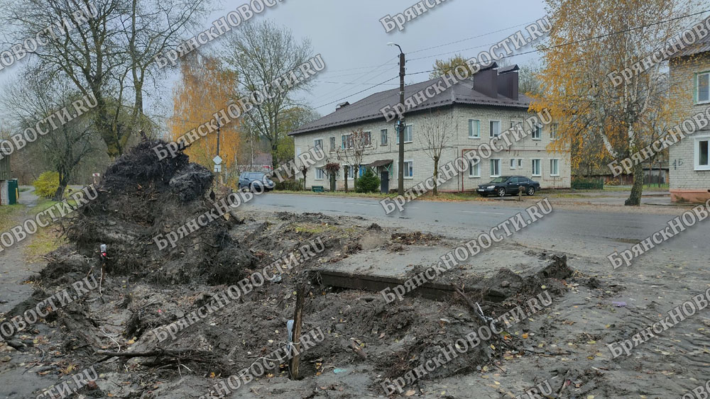 Улица Полевая в Новозыбкове начинает терять вид